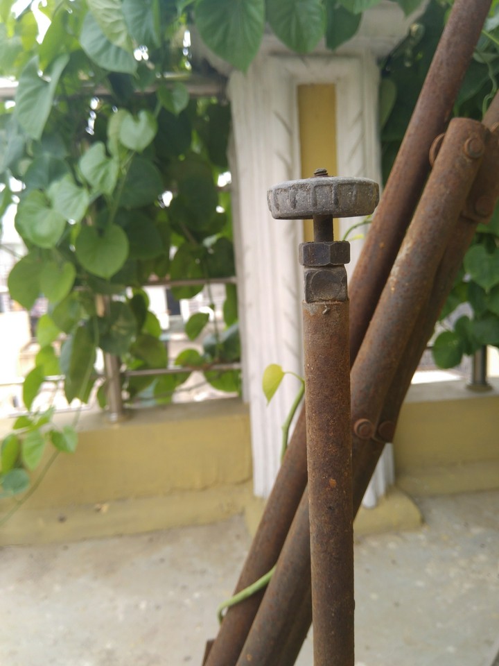 Rust and Creeps