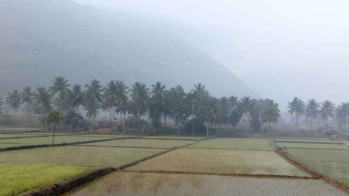 Agriculture