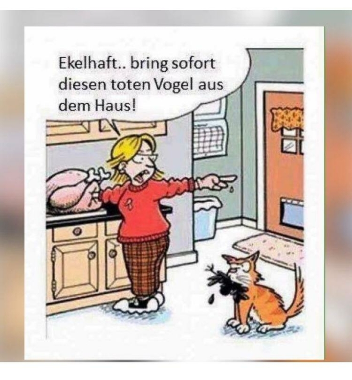 witz