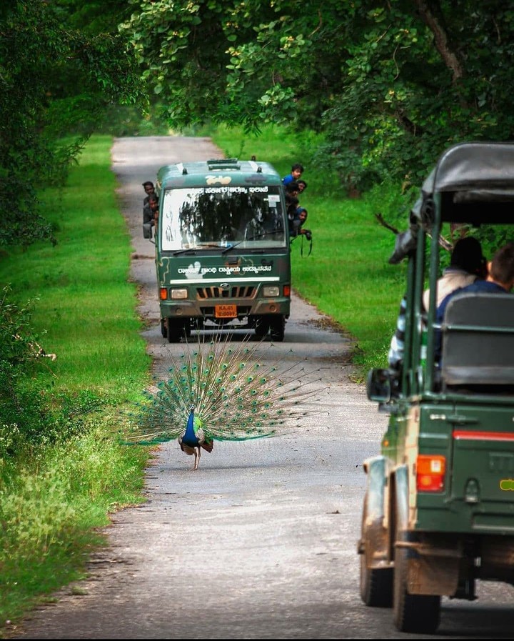 KABINI