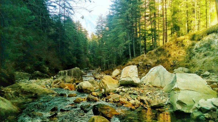 kasol