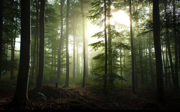 nature