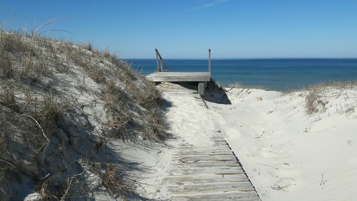 Road to the sea