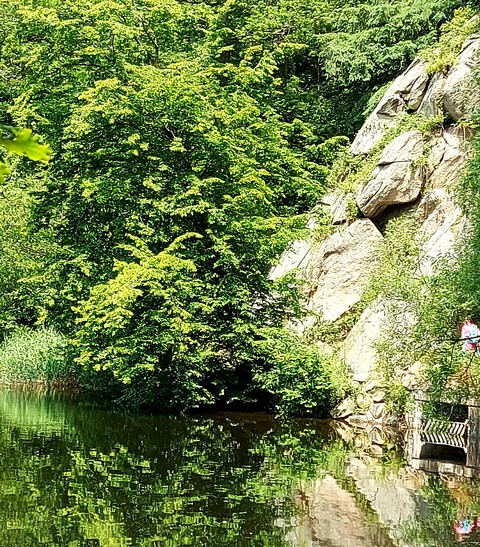 Wald & Wasser & Berge