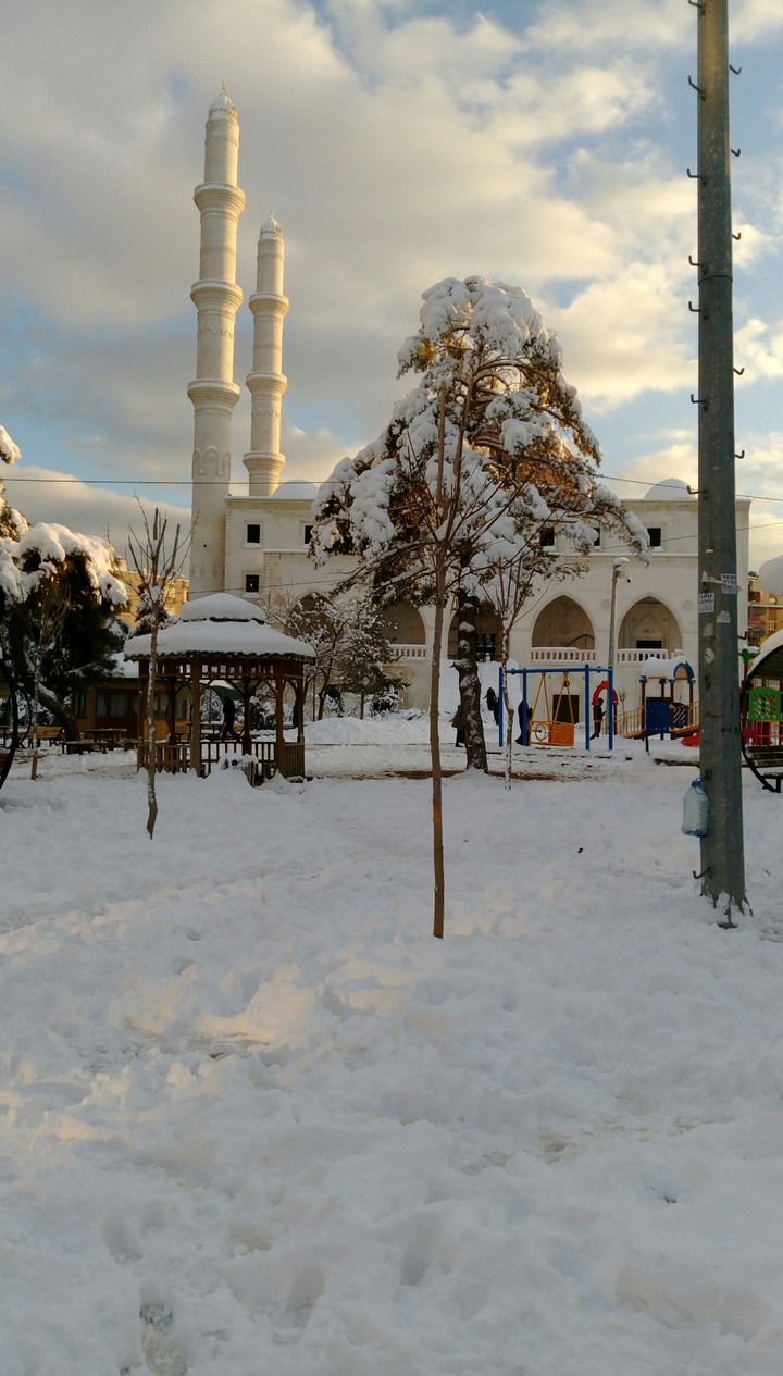 #Mosque #profit #mardin