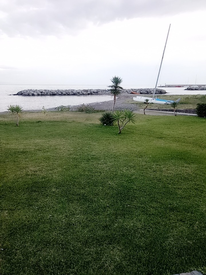 Scario