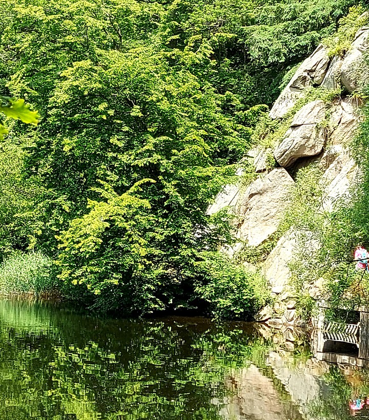 Wald & Wasser & Berge