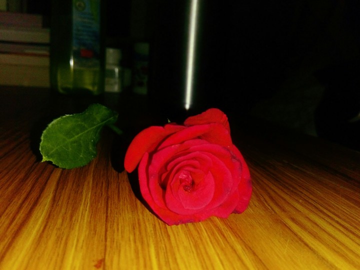 red rose
