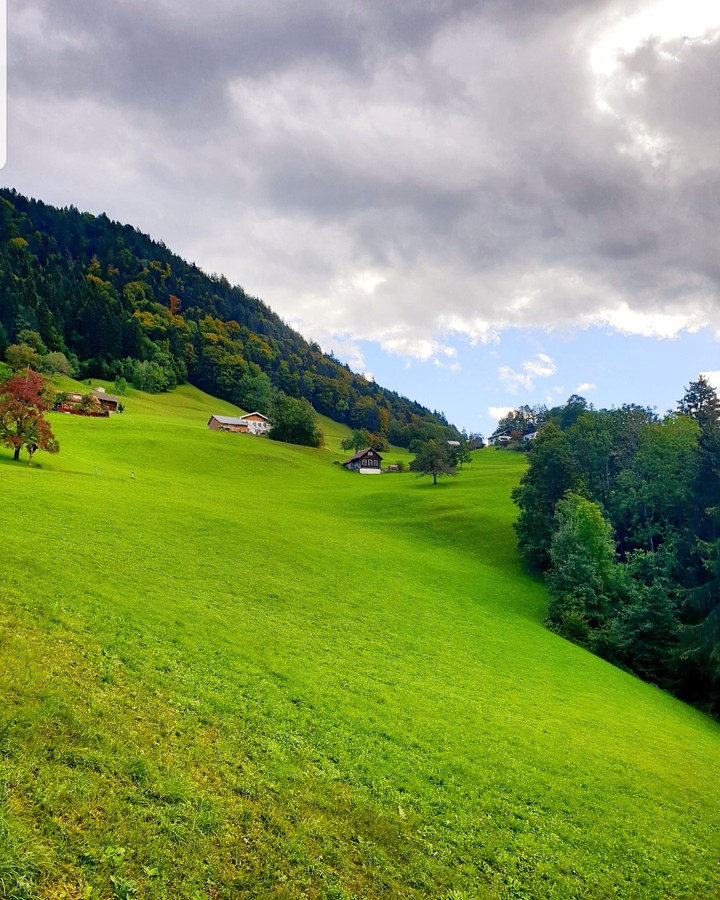 Nature