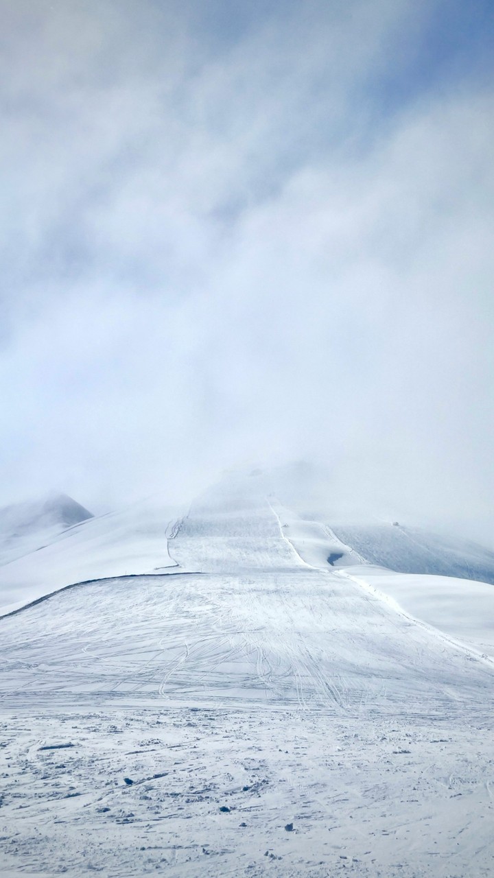 winter, arctic Hintergrundbilder