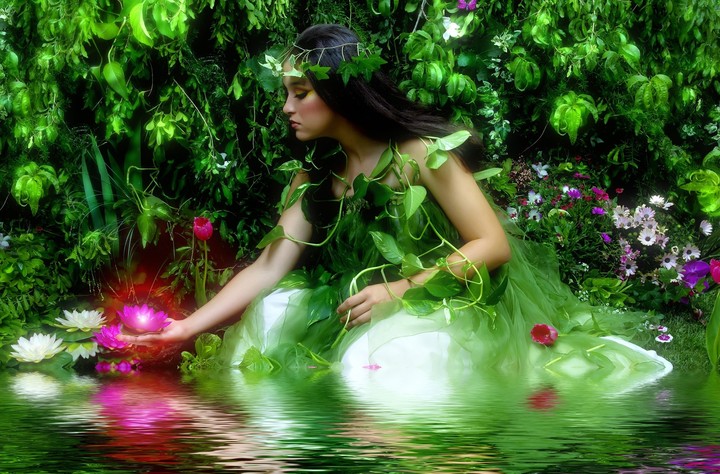 Nature Beauty