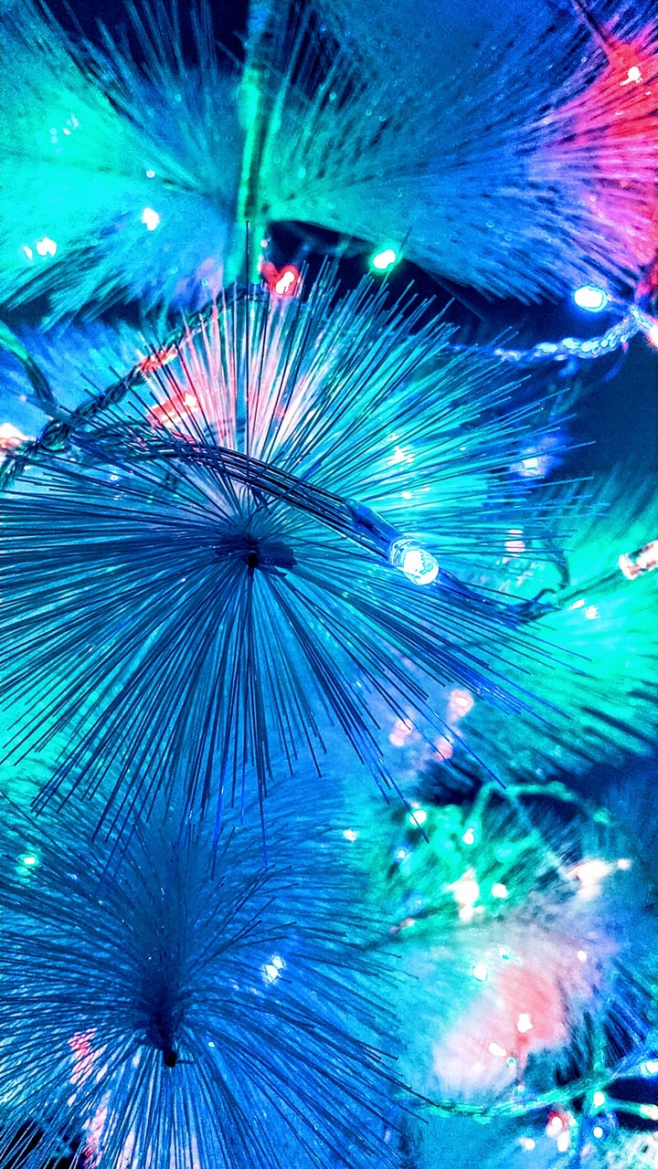 Happy New Year!