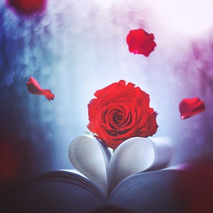 for. you. my. hart.