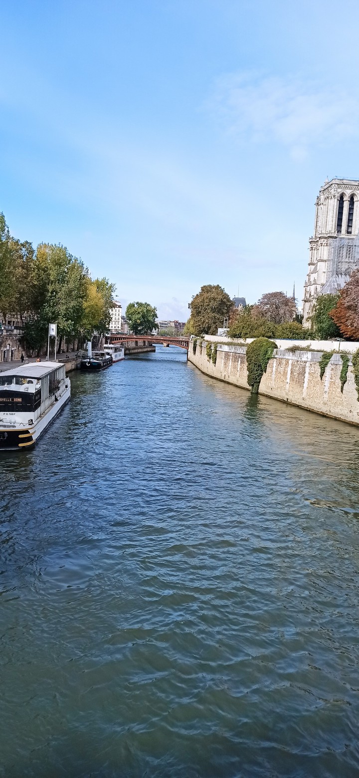La grande Seine