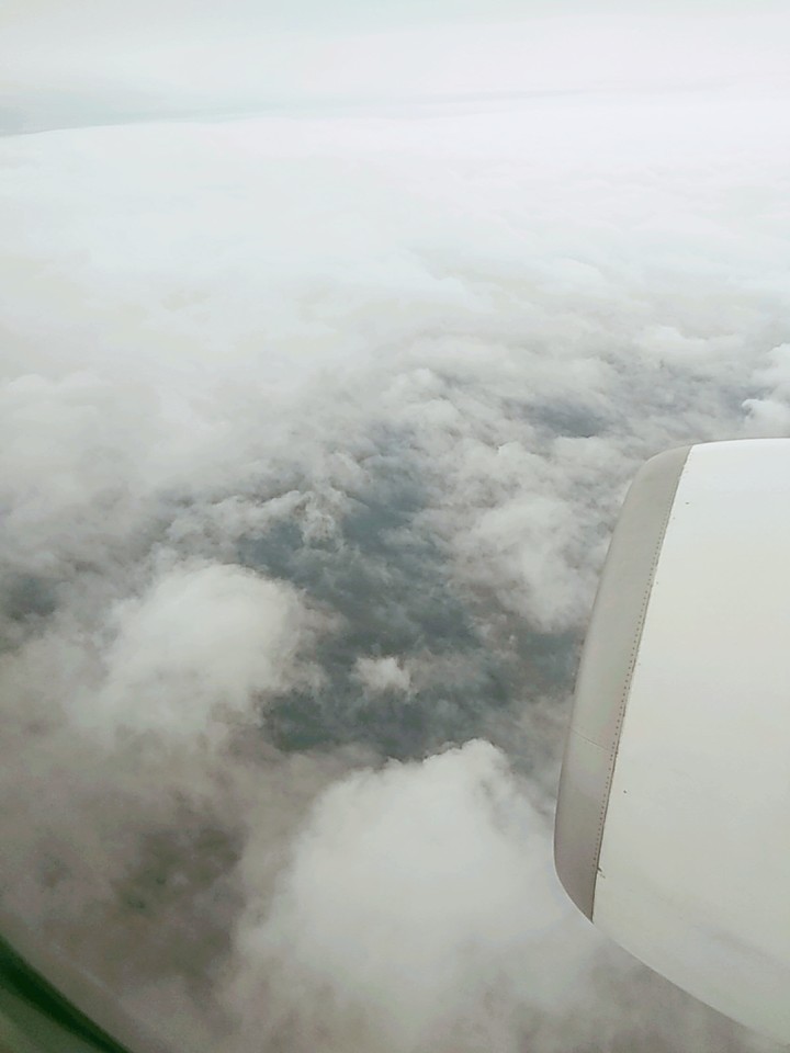 in the clouds