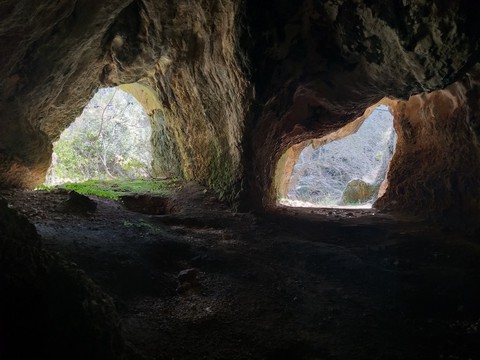 The view from inside the cave