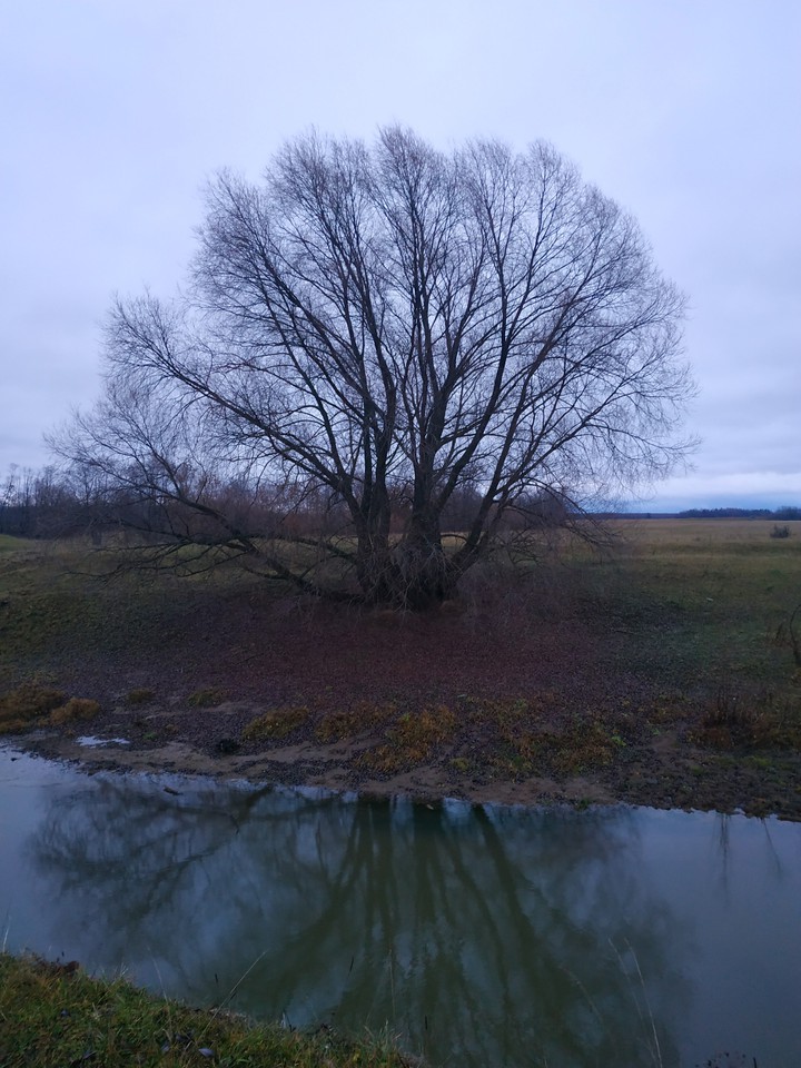 nature