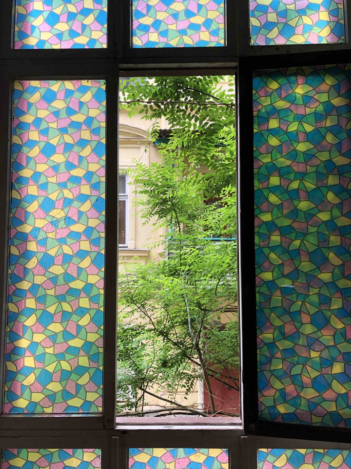 window