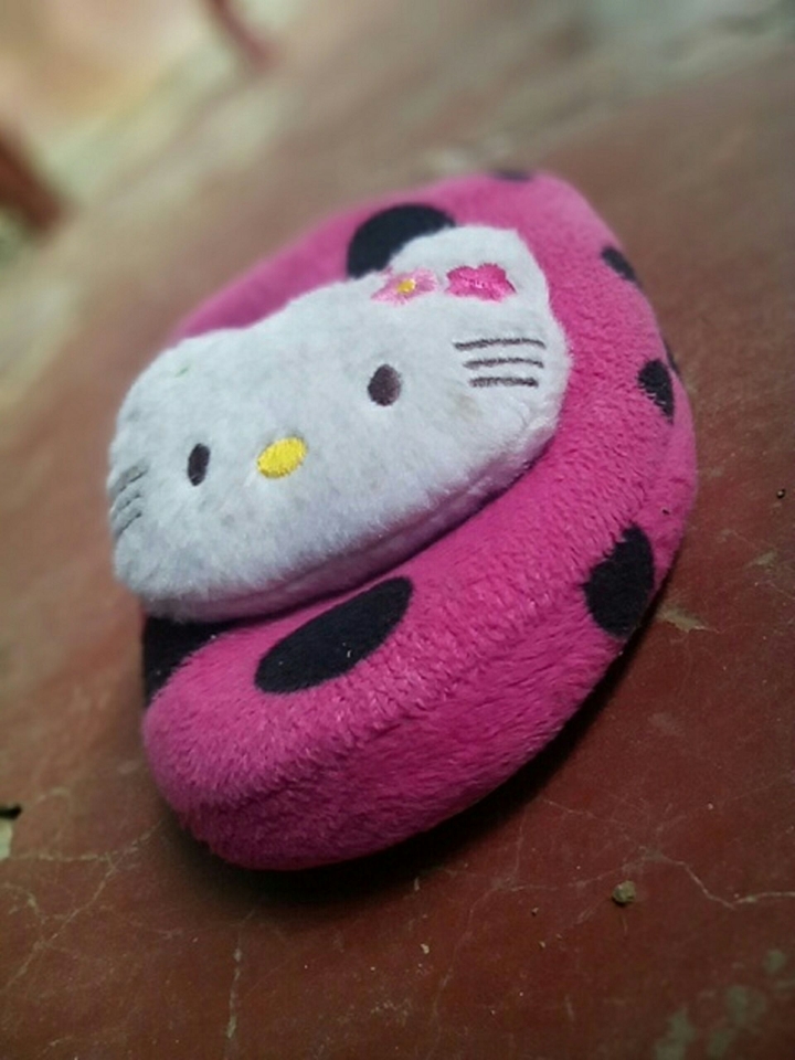 Little Kitty