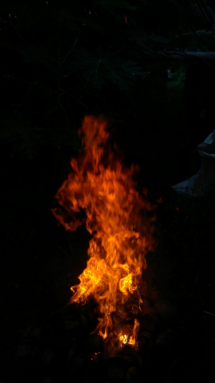 Fire