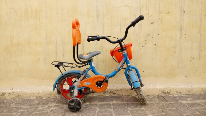 Little Champ Bicycle