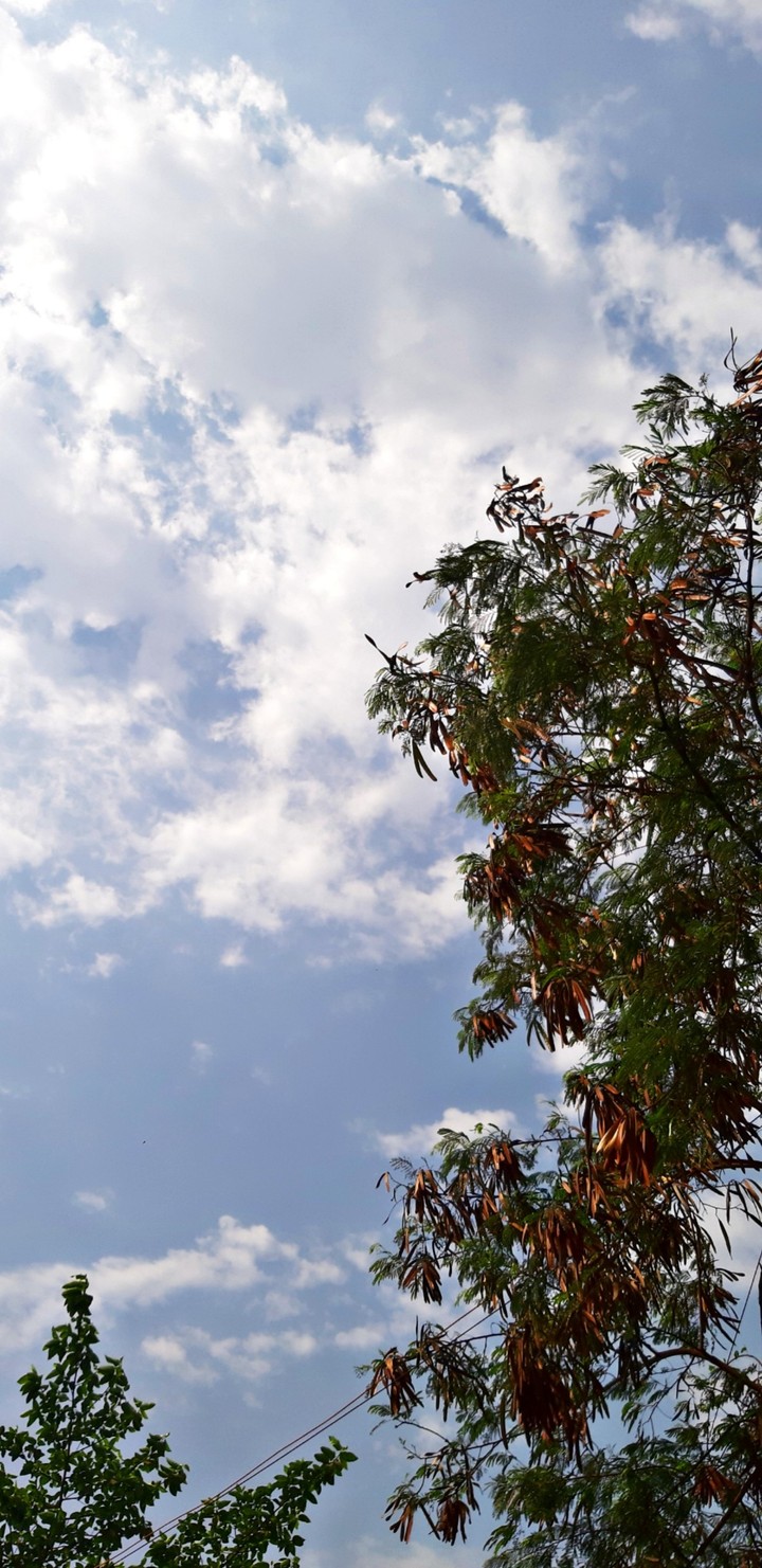 Those playful fancies of the mighty sky.