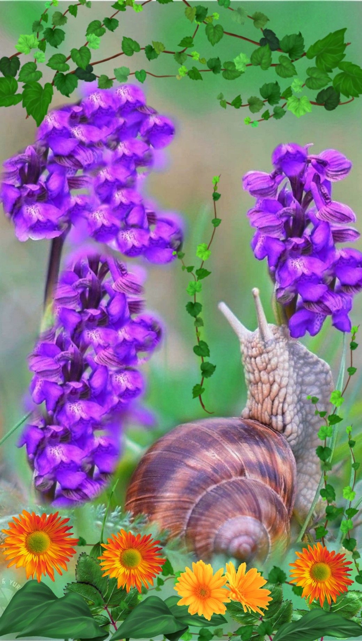 Nature