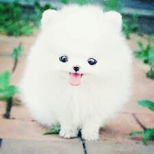 say Hi!!!