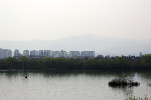 Scenics