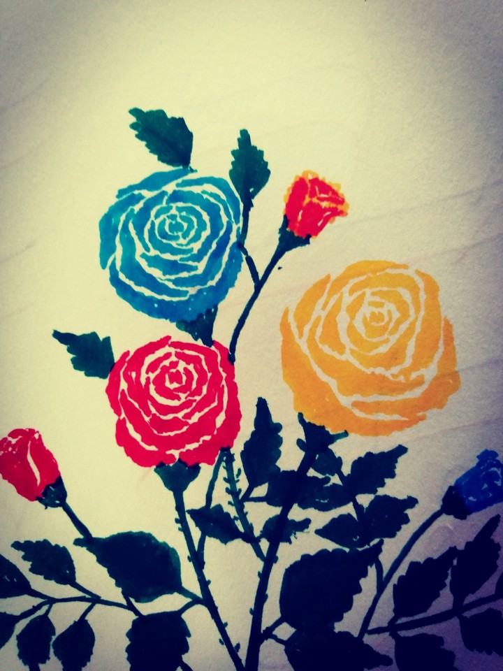 rose