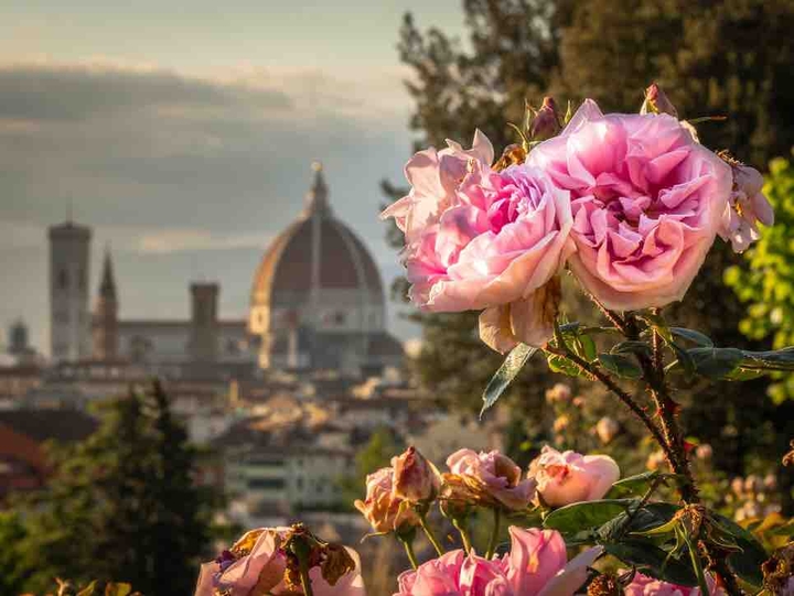 Firenze