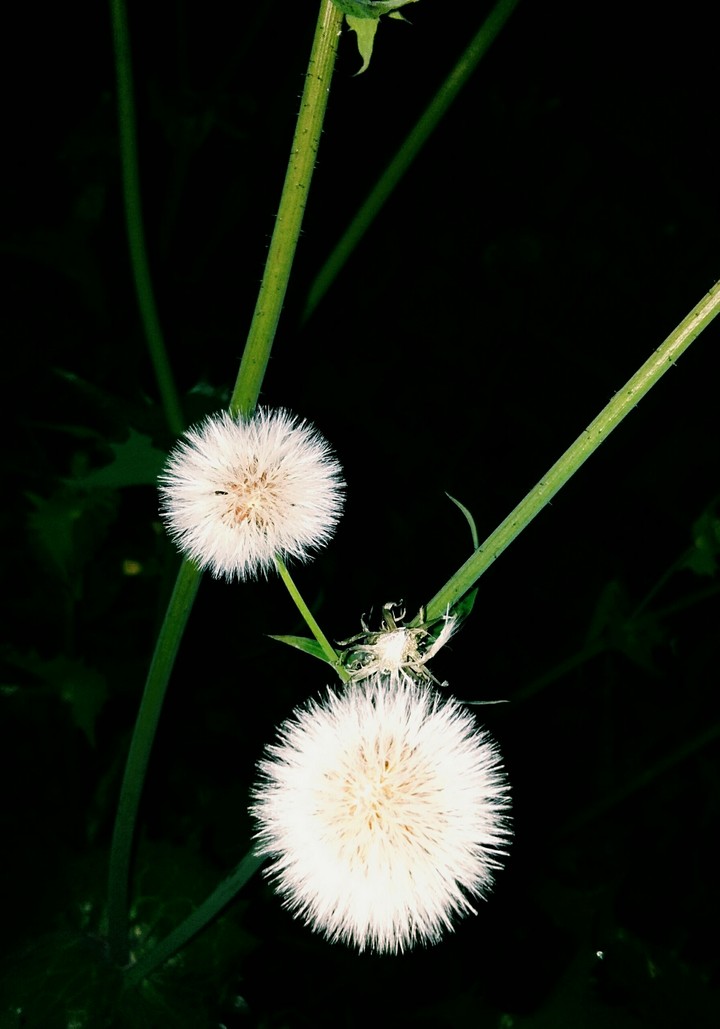 Nature...✨❤