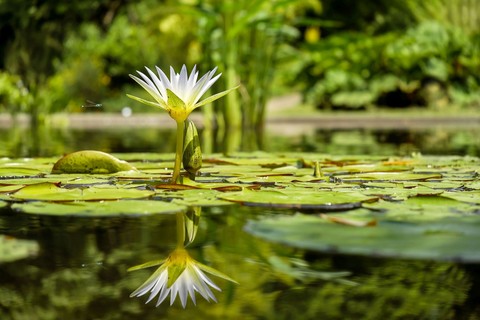 very beautiful shot.....