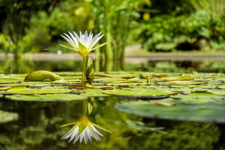 very beautiful shot.....