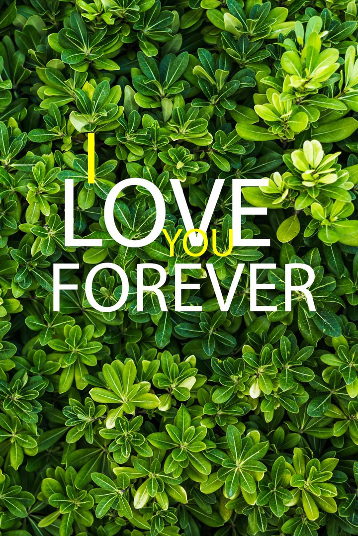 I LOVE YOU FOREVER