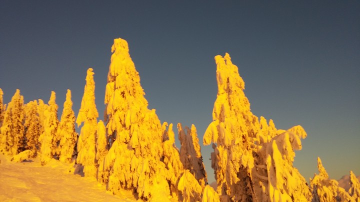 Yellow snow