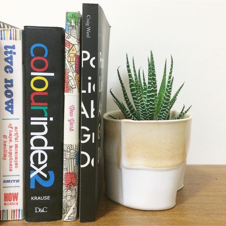 books & plant