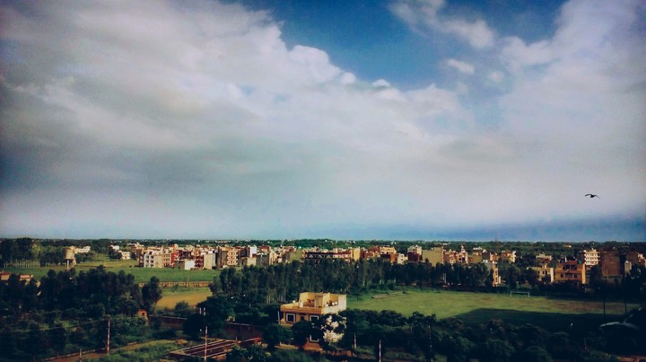 the nature