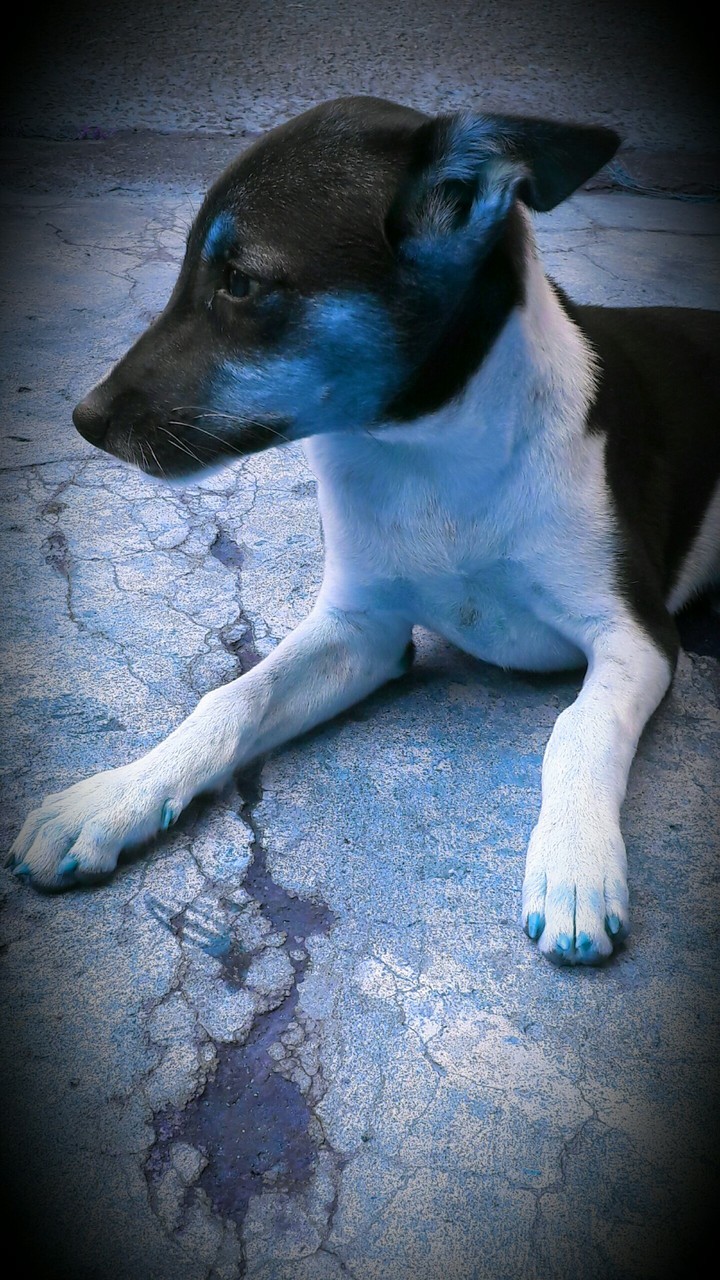 my old friend...
