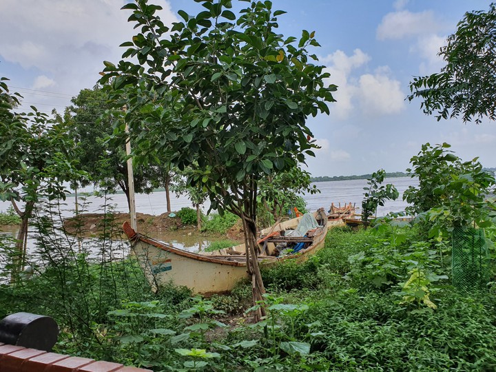 river flood