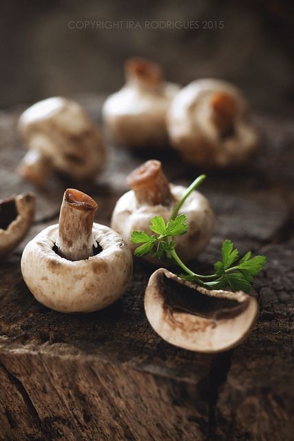 Mushroom