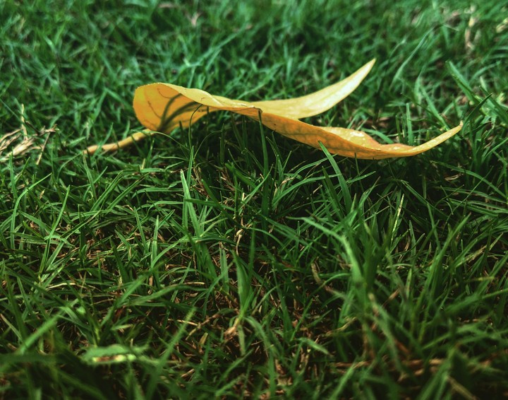 Scribbled by nature.