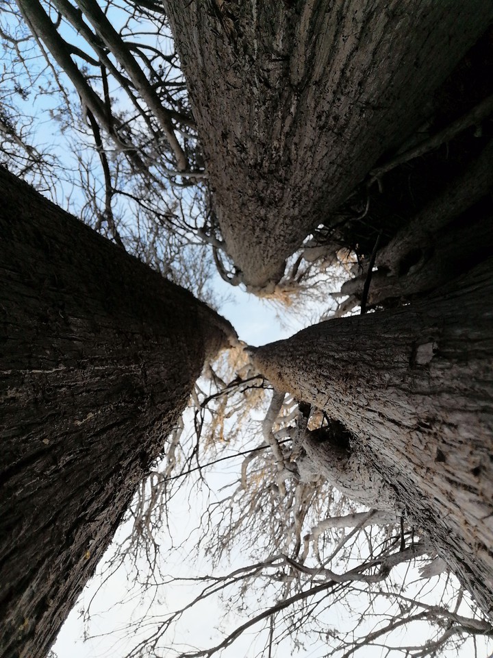 three