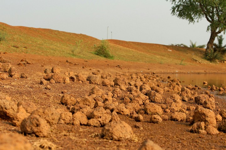 red rock