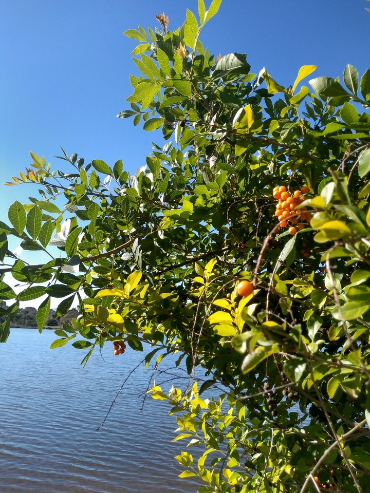 represa