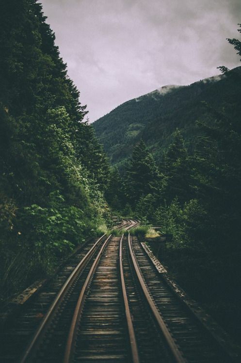 tree, Rail wallpapers