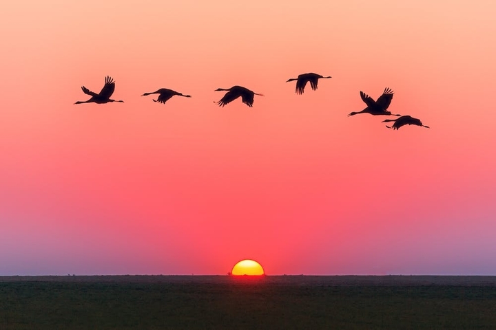 nature
