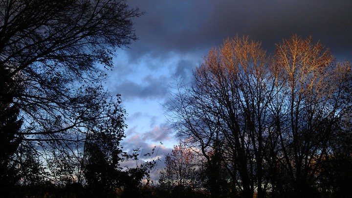 Impression of Autumn