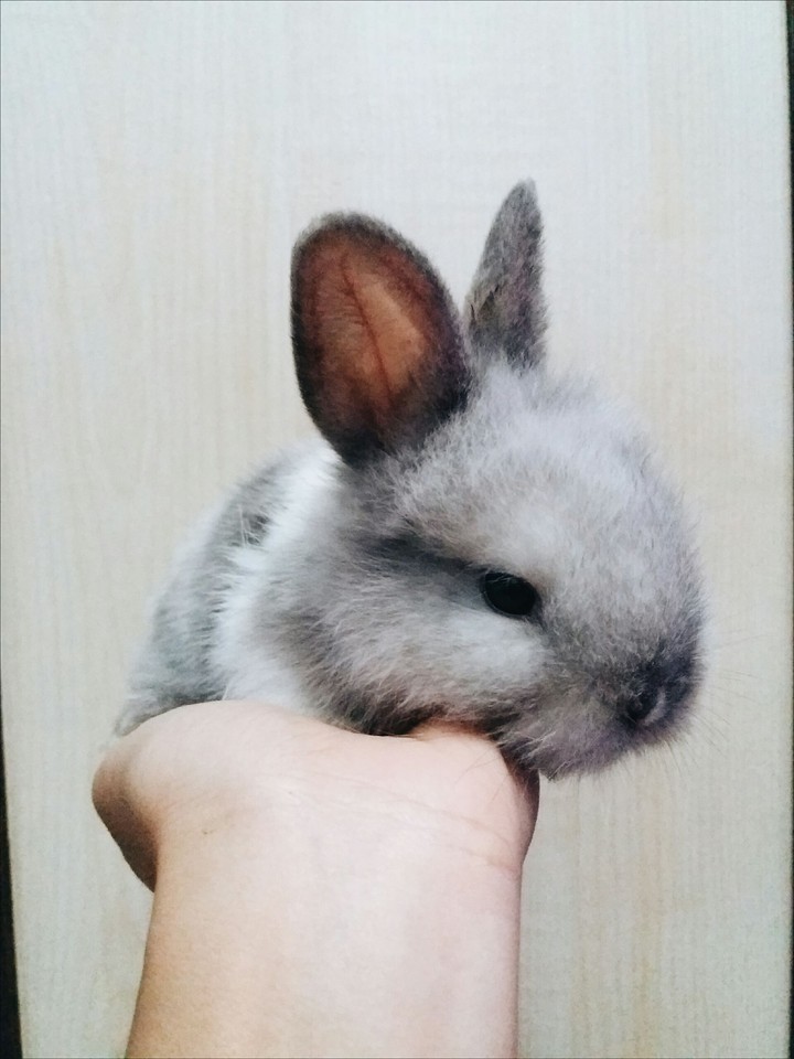 little fluffy
