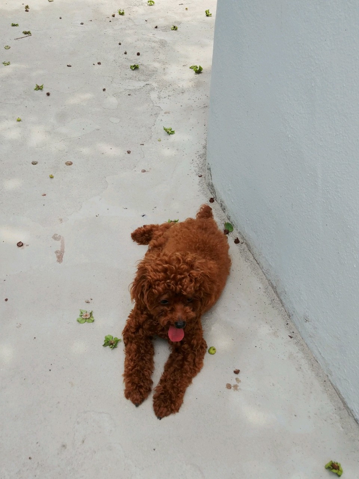 ㅡㅈㄱㄷㄱㄴ